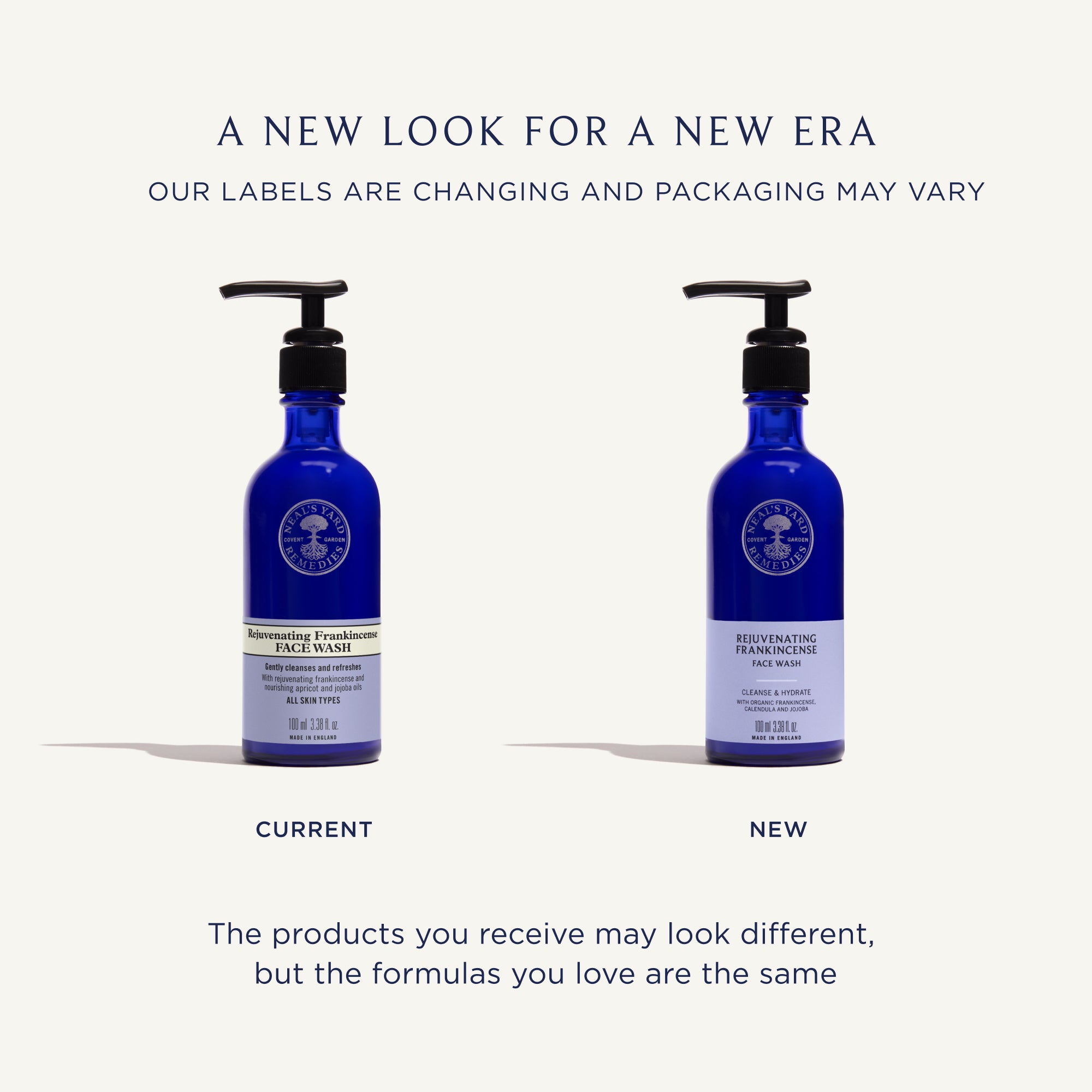 Rejuvenating Frankincense Facial Wash