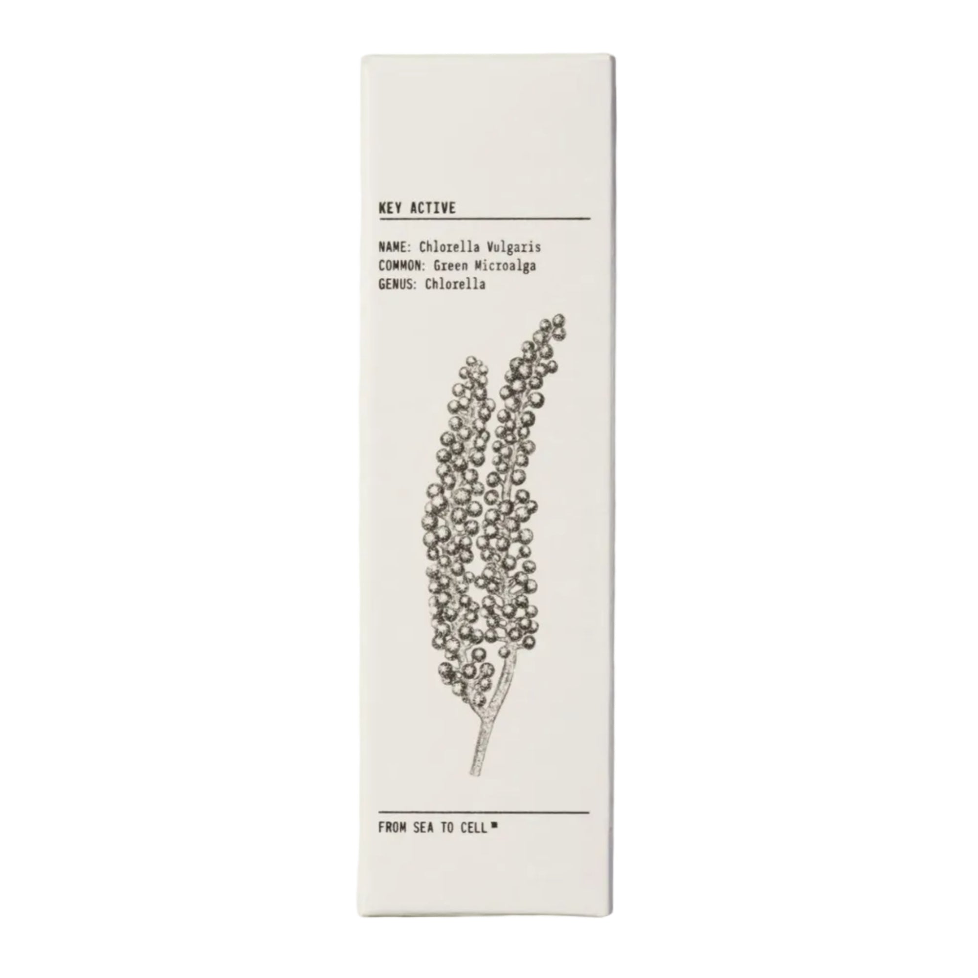 Mattifying Moisturiser 50ml