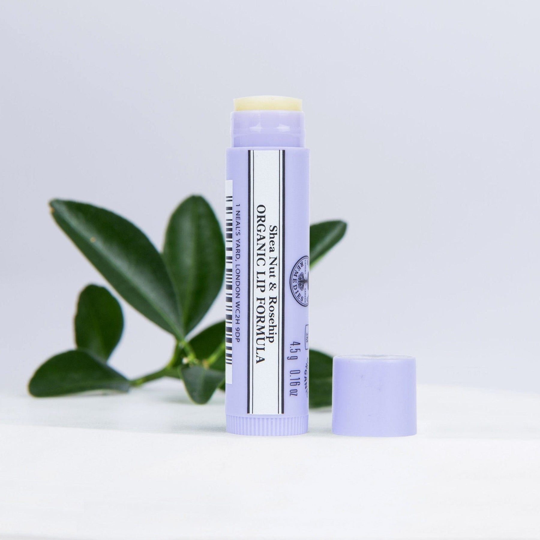 Neal's Yard Remedies' Shea Nut and Rosehip Organic Lip Formula on a white table with green leaves in the background.