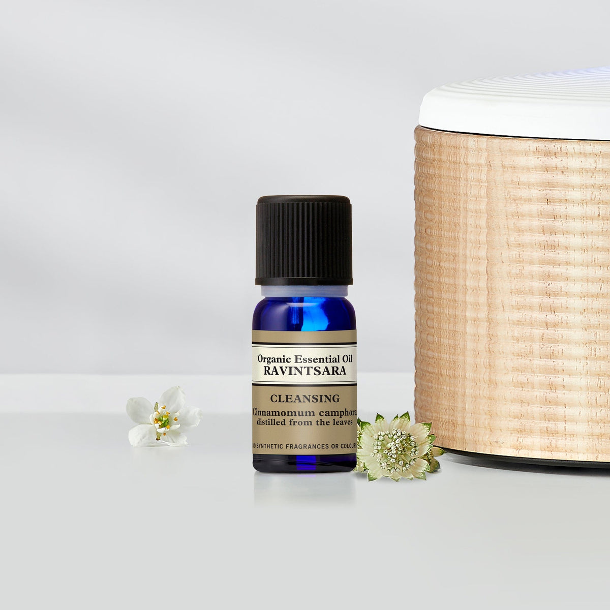 Ravintsara Organic Essential Oil